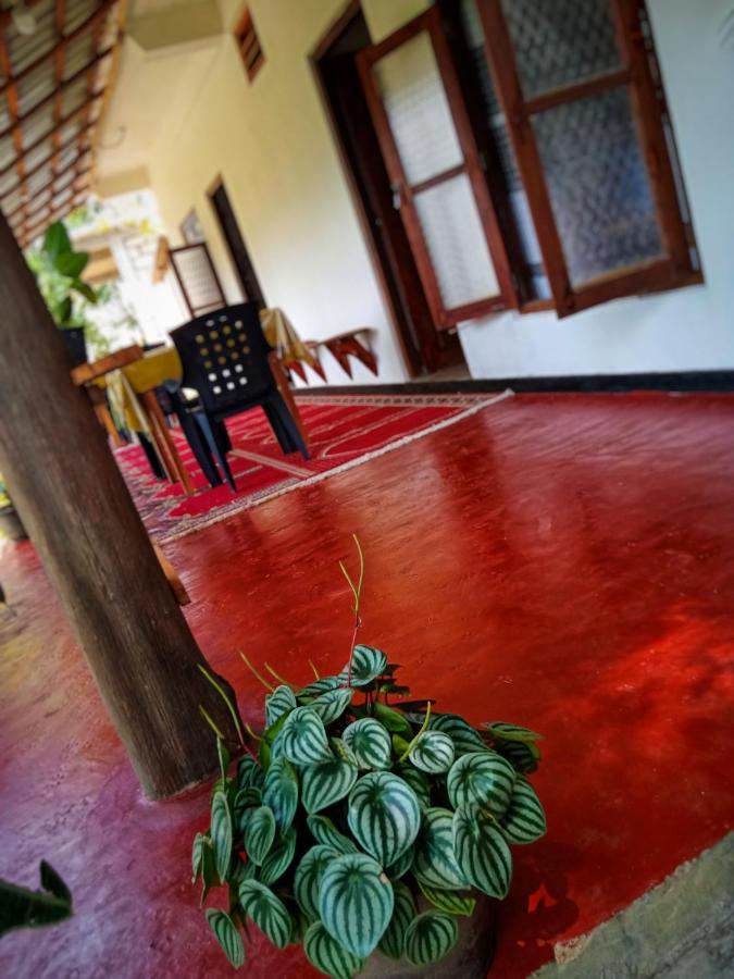 New Rose Villa Bandarawela Procida Dış mekan fotoğraf