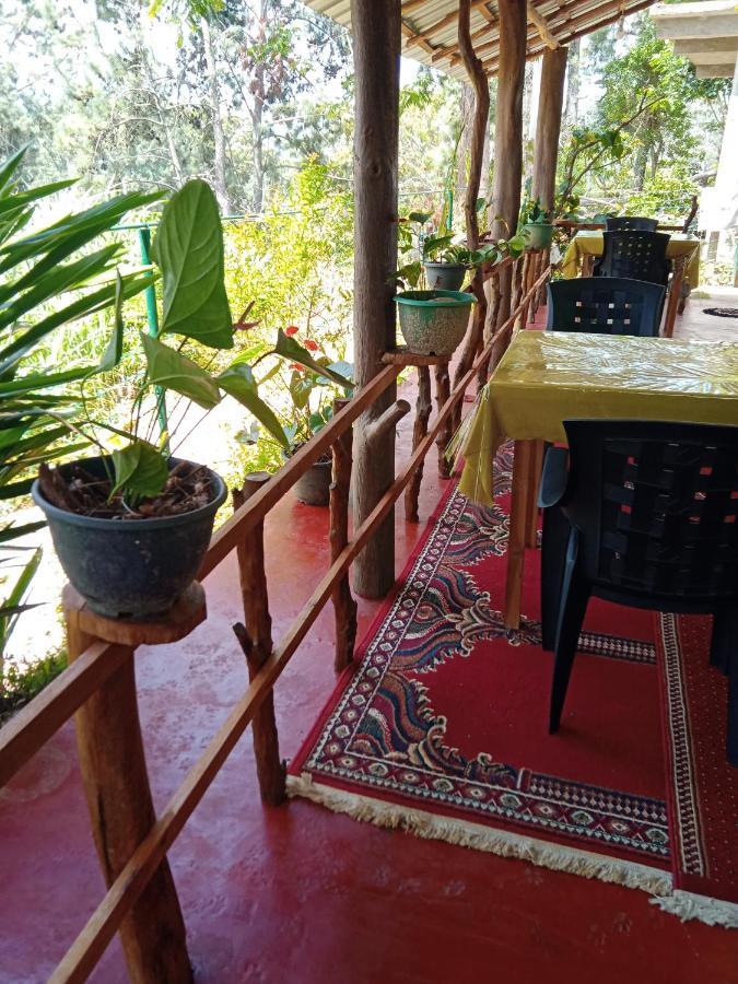 New Rose Villa Bandarawela Procida Dış mekan fotoğraf