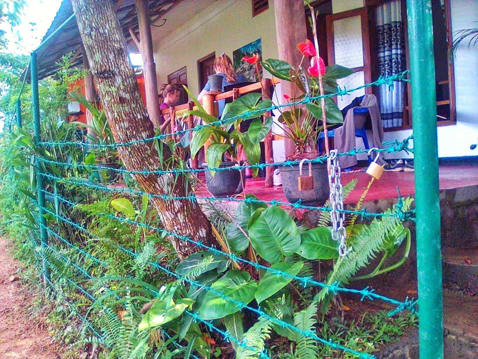 New Rose Villa Bandarawela Procida Dış mekan fotoğraf