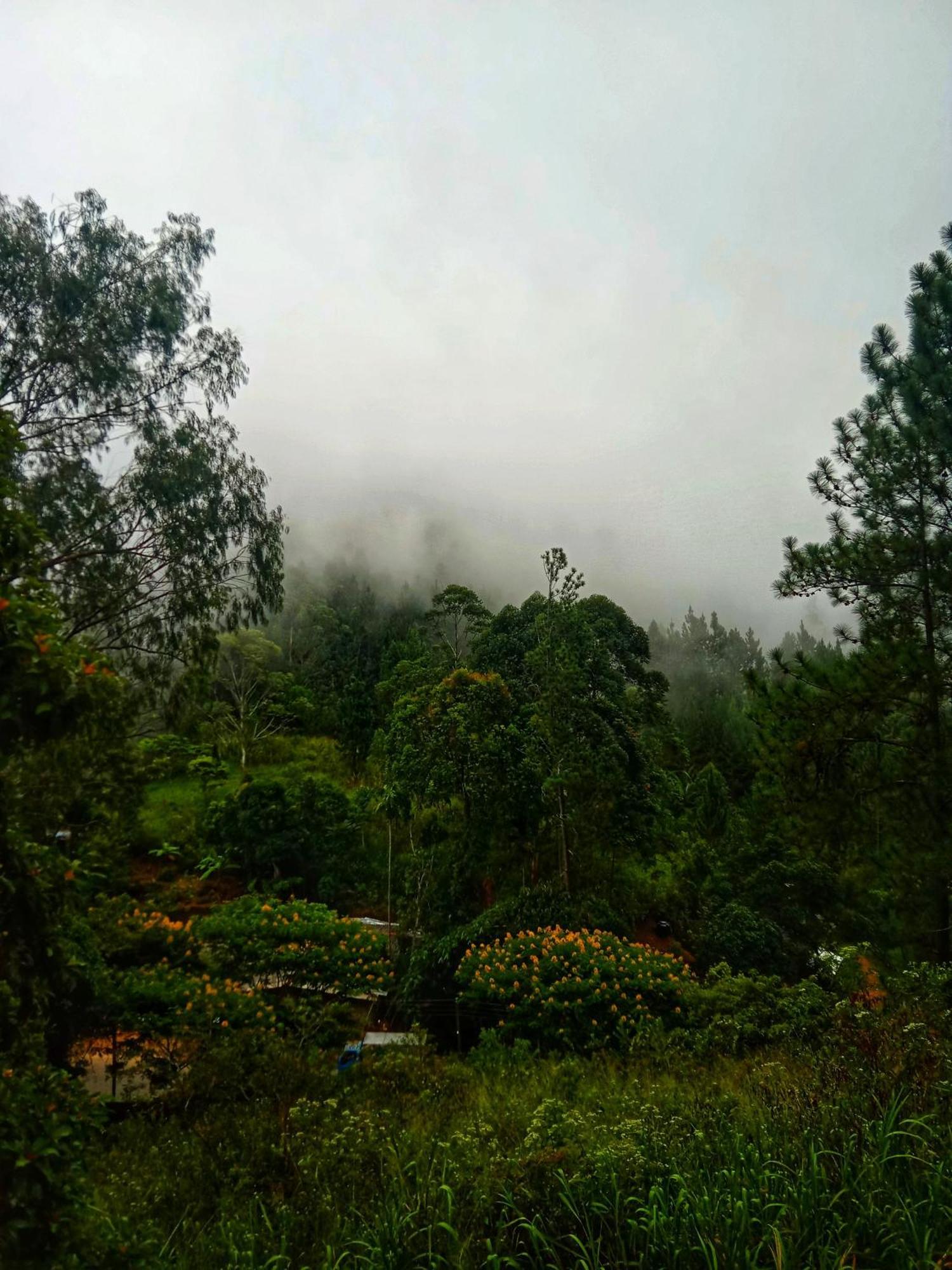New Rose Villa Bandarawela Procida Dış mekan fotoğraf