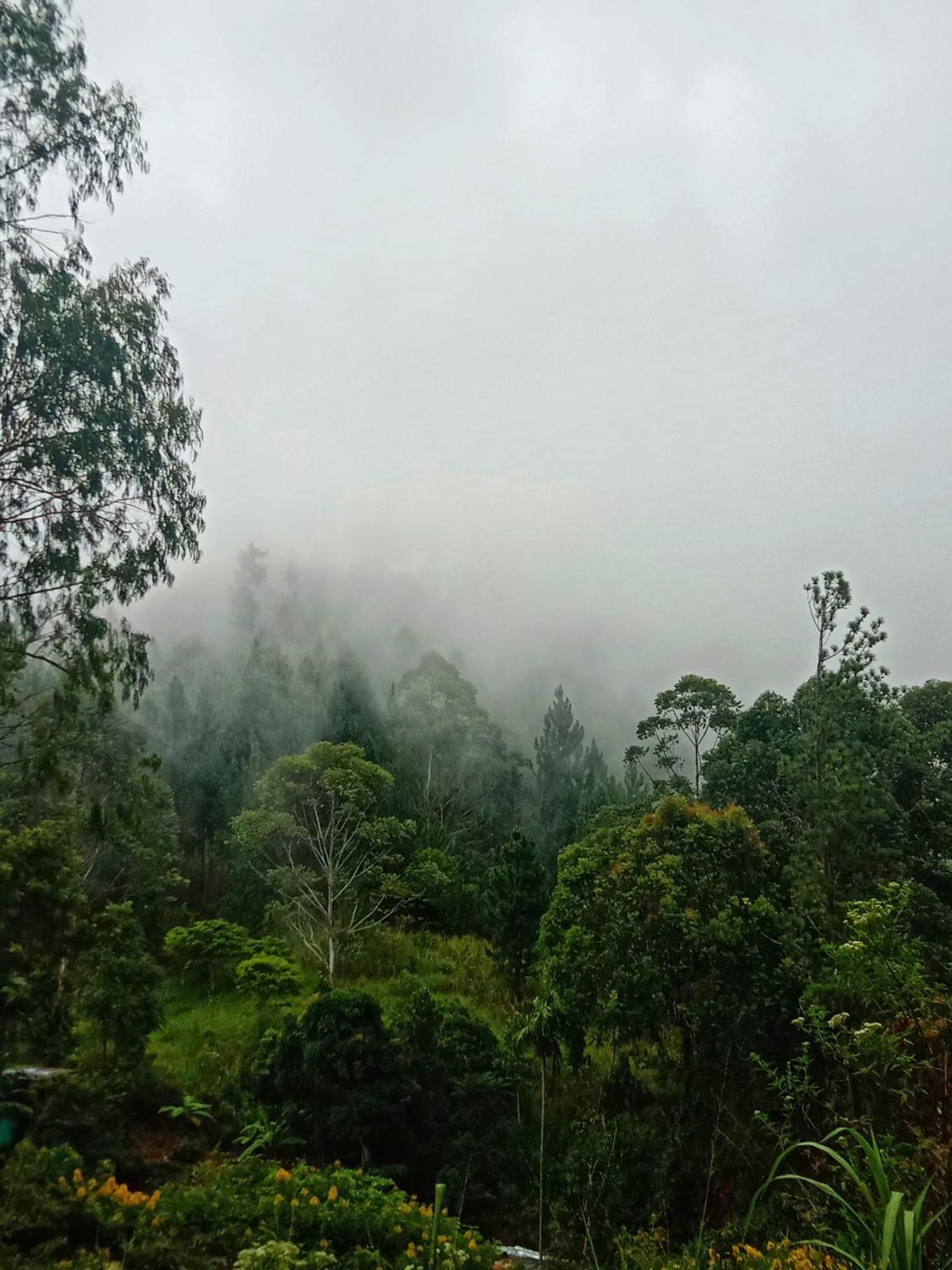 New Rose Villa Bandarawela Procida Dış mekan fotoğraf
