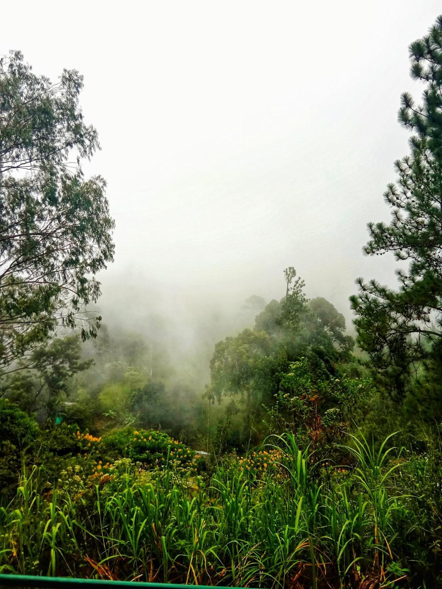 New Rose Villa Bandarawela Procida Dış mekan fotoğraf