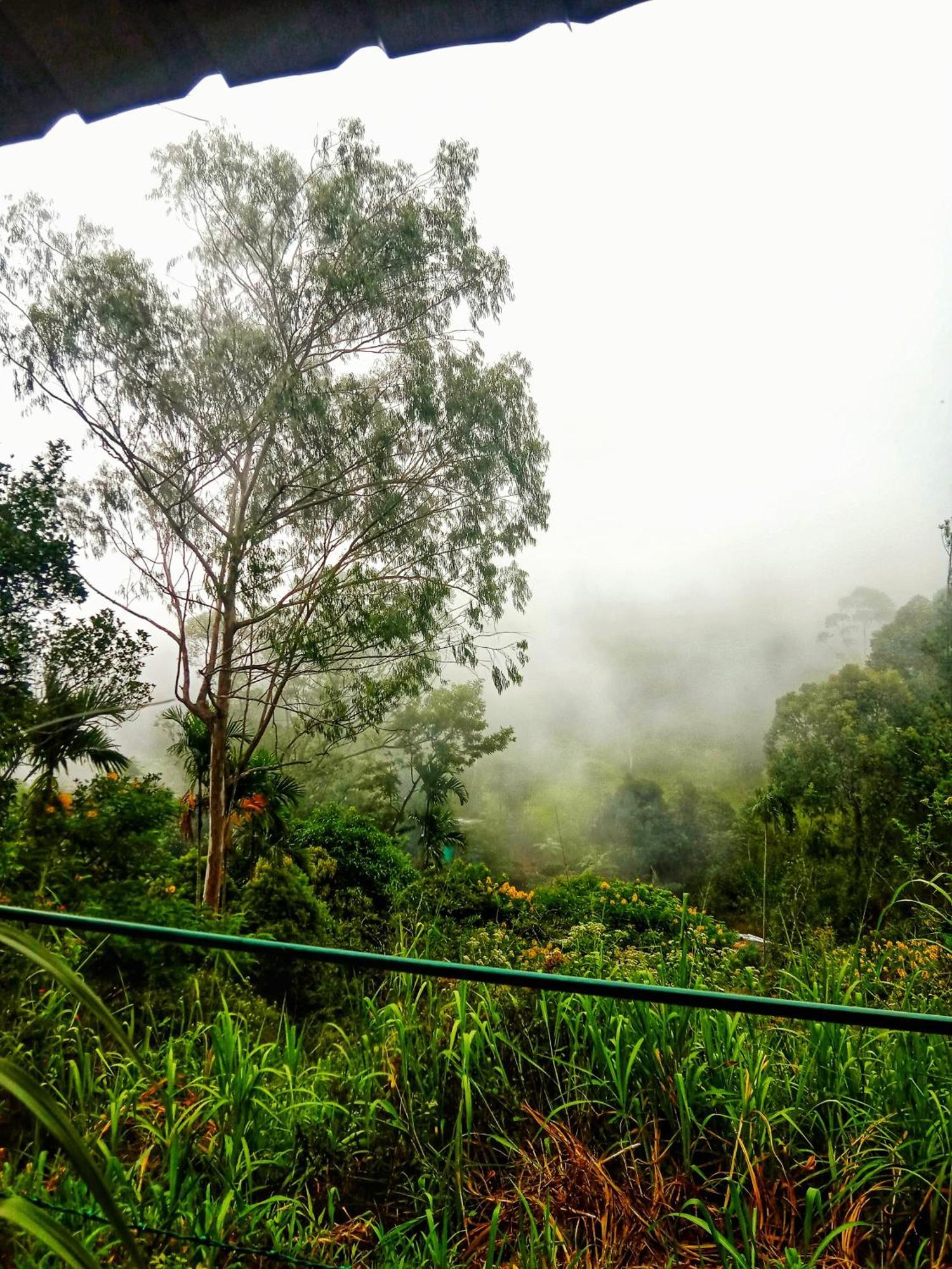 New Rose Villa Bandarawela Procida Dış mekan fotoğraf
