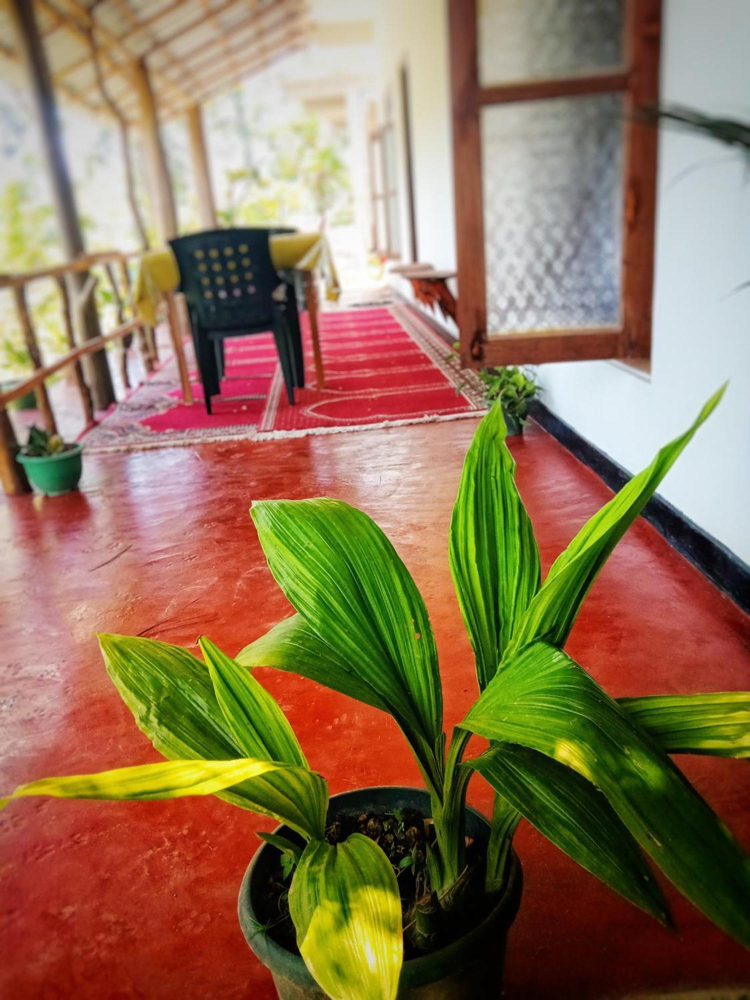 New Rose Villa Bandarawela Procida Dış mekan fotoğraf