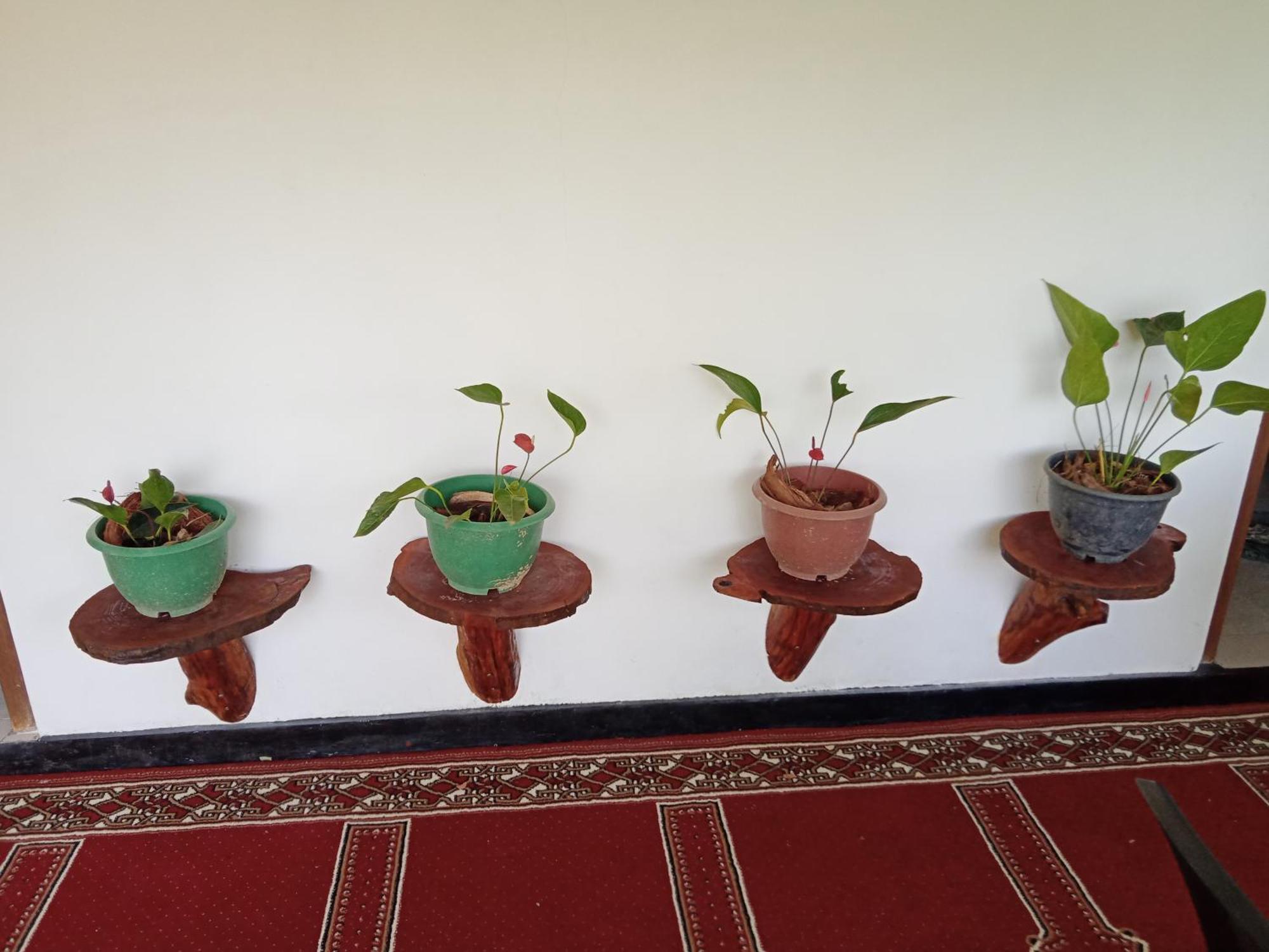 New Rose Villa Bandarawela Procida Dış mekan fotoğraf