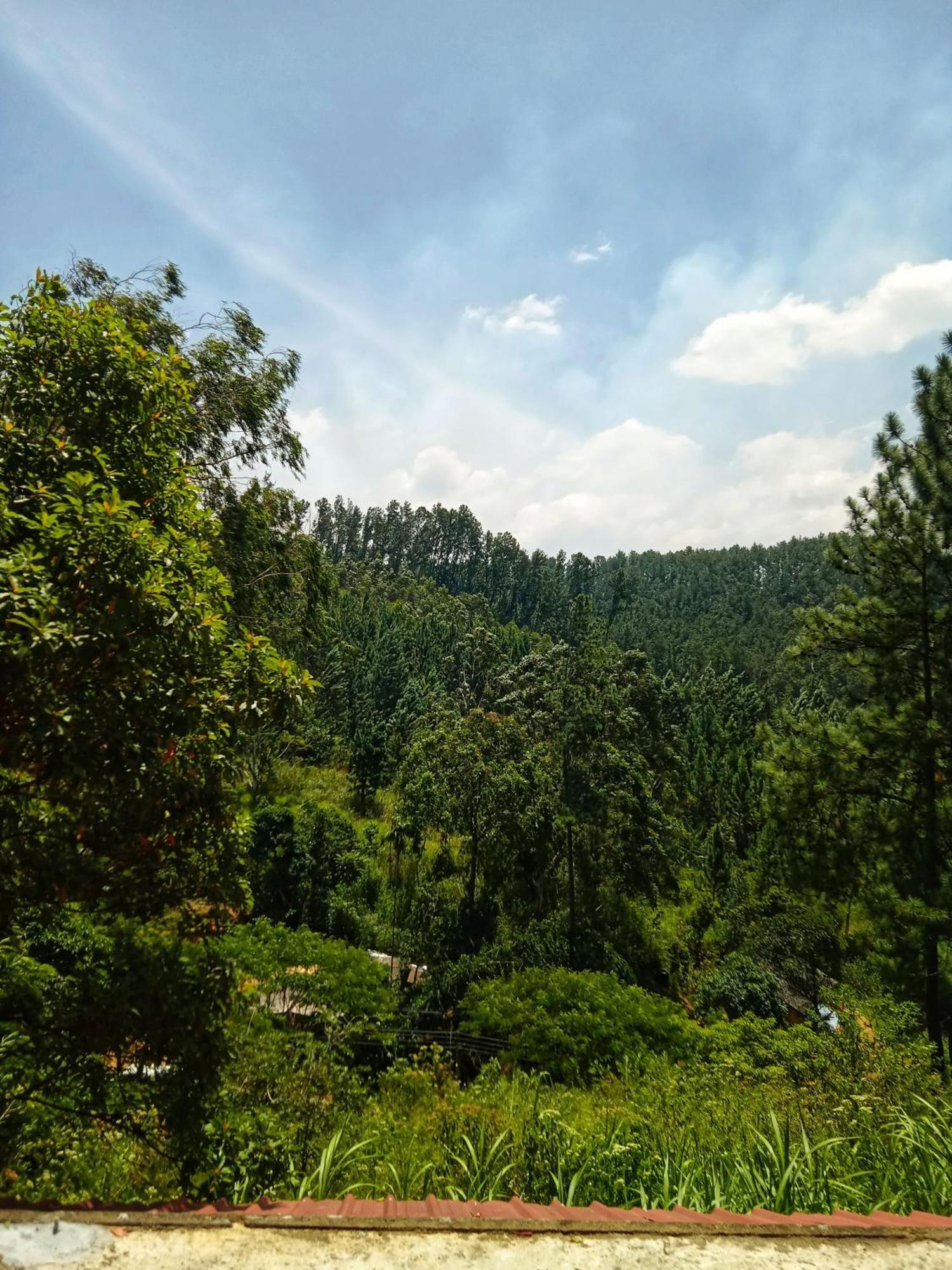 New Rose Villa Bandarawela Procida Dış mekan fotoğraf